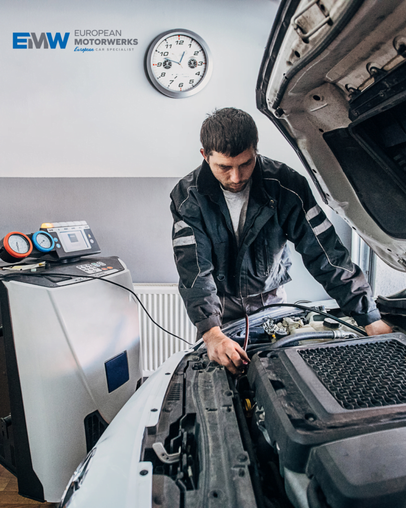 spring european mechanic